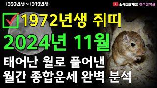 1972년생 11월운세 2024년 11월 쥐띠운세 성공이 가까워집니다  중요한 비밀을 확인하세요