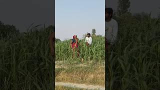 #TIMELAPSE: START to FINISH AloneBUILD LOG Cabin (Wooden House), How To Build Wooden Cabin, Survi