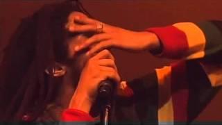 Julian Marley  " Heathen "  Live Africa Festival (2011)