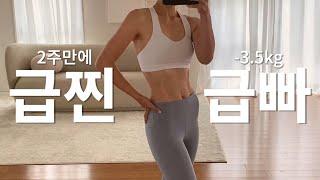 연말대비 급찐급빠 -3kg! 30대 후반 애셋맘의 건강하고 효과 좋은 단기간 다이어트 습관 7가지