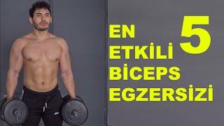 EN ETKİLİ 5 BİCEPS EGZERSİZİ  | Ön Kol Kaslarını Geliştir !