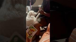 #family #fun #dog #dogmom #dogdad #funny #games #shorts #short #shortvideo #viralvideo #love #video