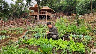 #1 Transforming the Wild Forest into a Dream Farm – Farming, Livestock, Harvesting...