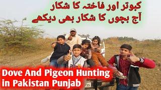 Pigeon And Dove Hunting In Pakistan Punjab || Syed Asmeen Vlogs