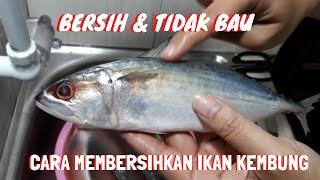 Cara membersihkan ikan kembung yang benar dan bersih. Bersih dan tidak bau