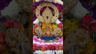 आज के दर्शन सीधे खाटू धाम से  | Khatu Shyam New Bhajan | #shyam #khatu #khatushyam #khatushyamji