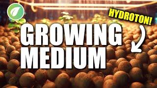 Mastering Hydroponics: Choosing the Perfect Growing Medium