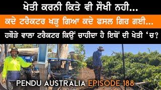 Farming Of Wine Grapes in Australia ~ Hammer Tractor ~ Pendu Australia Episode 188~ Mintu Brar