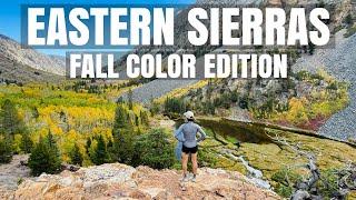 Eastern Sierra...Best Fall Color in California