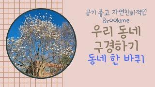 미국 일상 VLOG | 서녕이의 미국 라이프 EP.01 |보스턴 생활기| 우리 동네 구경하기 | BROOKLINE | CHESTNUT HILL 