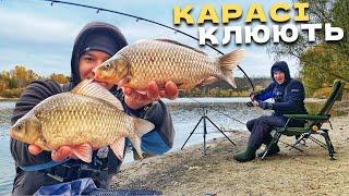 КАРАСІ на ДИКАРІ‼️ Мордаті КАРАСІ клюють! Осіння рибалка на КАРАСЯ!