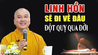 Linh Hồn Sẽ Đi Về Đâu? Niếu Đột Quỵ Qua Đời - Thầy Pháp Hòa NEW