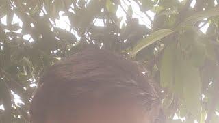 Deva thakur 08 is live!