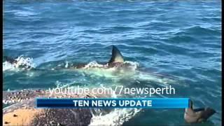 Ten News Perth - Update 15/01/2012