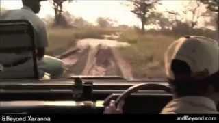 Xaranna Okavango Delta Lodge | Okavango Delta Safari Reserves | Botswana | Expert Africa
