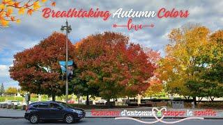 Breathtaking Autumn Colors Ottawa! Des couleurs d'automne à couper le souffle ! #trending #travel