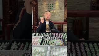 深入翡翠源头收货，瑞丽和缅甸的蛋面，翠友都不容错过