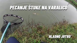 Jutarnja štuka na silikonsku varalicu - Pike Fishing in Morning