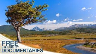 Beautiful Planet - The Variety of Wild Life in the Andes