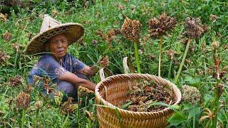 Grandma uses wild corn as a staple food｜Guangxi grandma