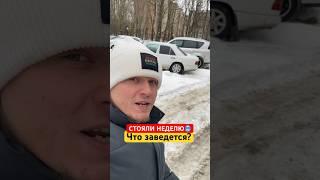 РЕКСТОН ИЛИ МЕРСЕДЕС W124 стояли НЕДЕЛЮ! ЧТО ЗАВЕДЕТСЯ БЫСТРЕЕ #авто #w124_club #mercedes #rexton