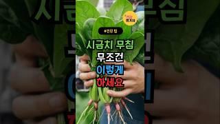 시금치 무침 무조건 이렇게 하세요