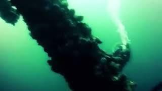 Oil Rig Dive in 2017