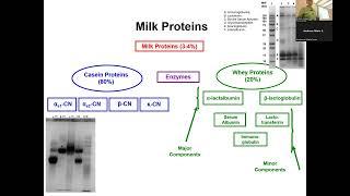 Food Protein Recorded Lect 9 April 5 2023