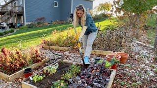 Overwintering Perennials in Raised Garden Beds! Getting Plants in the Ground Before Winter!