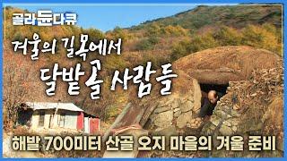 산 속에서 오순도순 모여 살아가는 삼형제 가족의 월동 준비│산골 오지 마을에 겨울이 오면│해발 700미터 소백산 능선 아래│겨울의 길목에서│달밭골 사람들│옛날 한국기행│#골라듄다큐