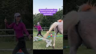 Things I do with my liberty horse that just makes sense  #equestrain #horse #libertyhorse