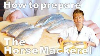 How to prepare the Horse Mackerel for Sushi by Michelin Sushi Chef