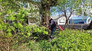 A FREE Multi-Day CLEANUP Left This Family SPEECHLESS But I Suprised Them With Even MORE