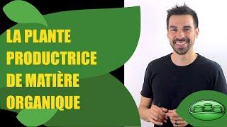 COURS DE TERMINALE SPÉCIALITÉ SVT CHAP.9: LA PLANTE PRODUCTRICE DE MATIÈRE ORGANIQUE - Bio Logique-