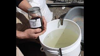 Starting Tomatoes Using Fermented Plant Juice of Tomatoes