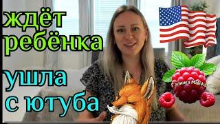 Лиса в Америке /Ждет ребёнка /Ушла с ютуба /Обзор /Big Big Family /Funny 4