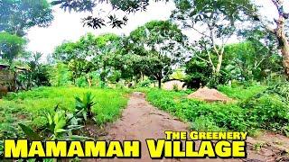 THE GREENERY OF MAMAMAH VILLAGE -  Roadtrip 2023 - Explore With Triple-A