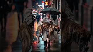 Old Woman Rescues Dog From Certain Death! #rescue #animals #pets