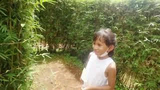 Bamboo Maze at Eden Nature Park