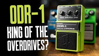 What About The Nobels ODR-1? [vs TS9 & BD-2w into AC15 & Deluxe Reverb] That Pedal Show