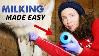 HOW TO Milk a Cow Made EASY- Each Step and Setup for BEGINNERS