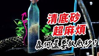 裸缸 vs. 底砂養魚，放底砂竟然毒死一堆魚 the reasons why fish are not colorful, water is not the only key.