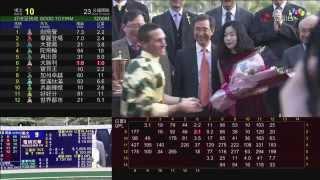 駿馬名駒 (N376) 郭能 01/01/2015