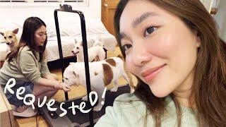 Natural & soft everyday look + a day with my dogs (as requested!)  | Raiza Contawi