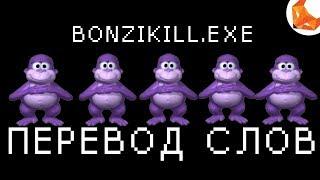 BonziKill.exe | Что говорит Bonzi?