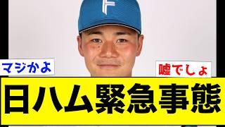 【衝撃】日ハム、緊急事態に...【なんJ反応集】