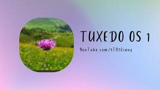 First Look: TUXEDO OS 1