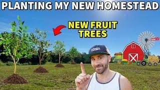 Planting Fruit Trees On My New Homestead Property