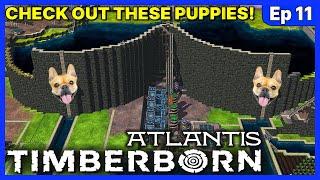 MEGA-DAMS GET BIGGER! ... and get N.I.P.S! - Timberborn Atlantis UPDATE 6 - Ep 11