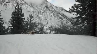 New Years Day hike with our Mastiffs, Leavenworth, WA